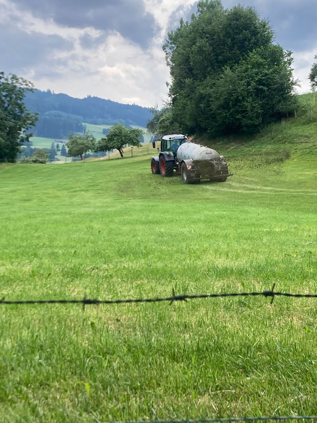 Zimmer (Mord) mit Aussicht