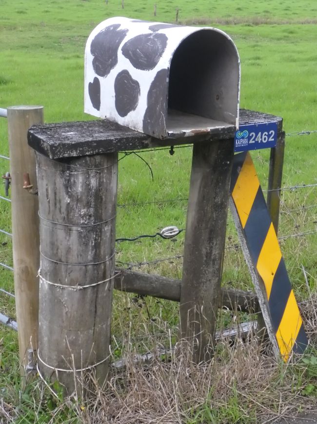 2025-04-15 Dargaville