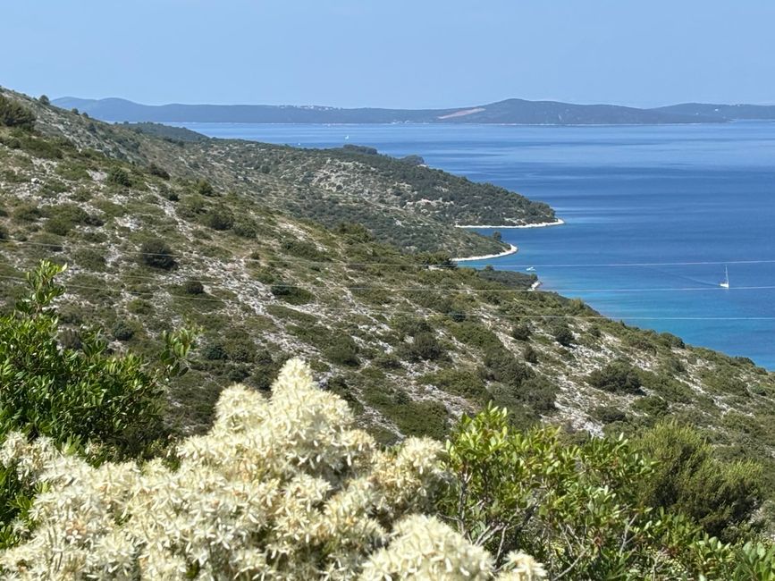 Dugi Otok