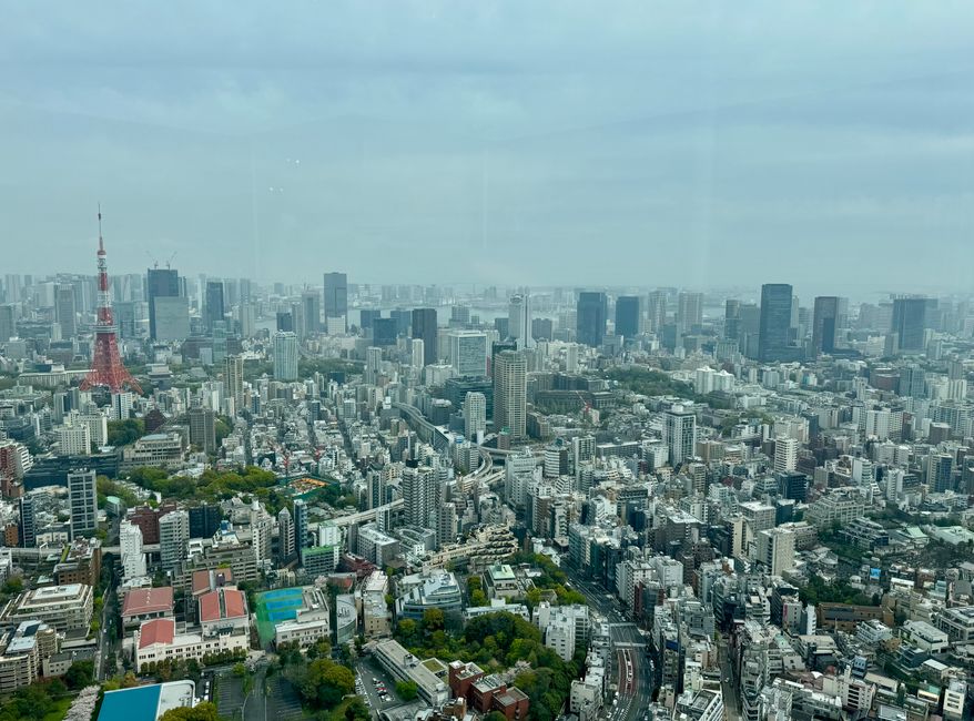 Parte 7
BENVENUTO IN GIAPPONE 🇯🇵
TOKYO