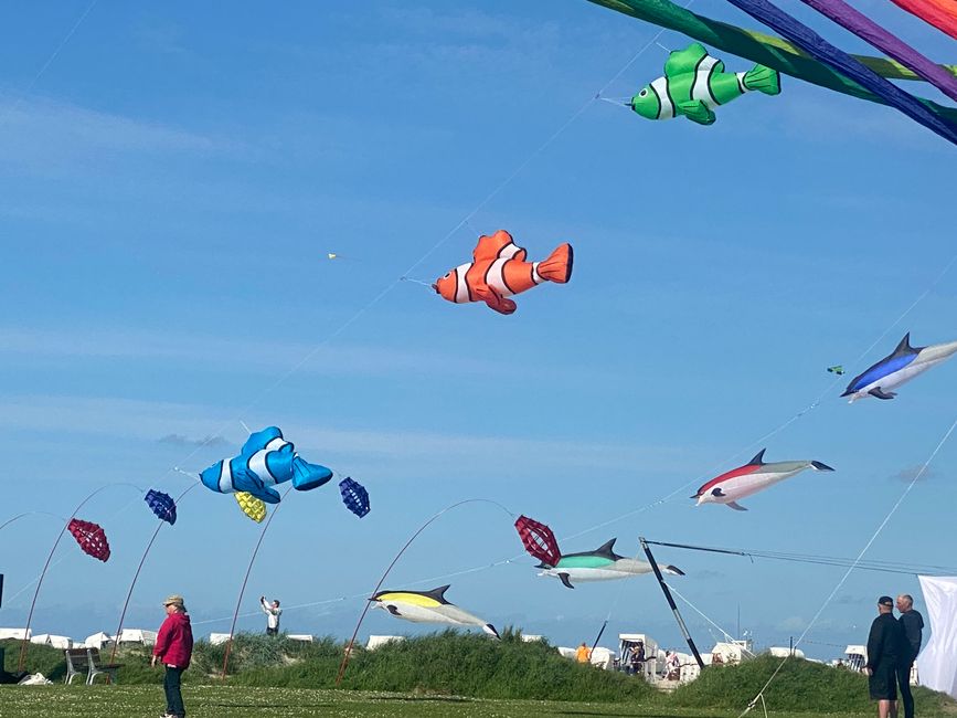 Drachenfest in Carolinensiel