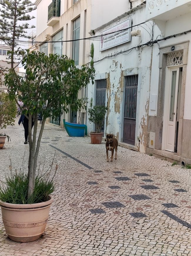 Olhão