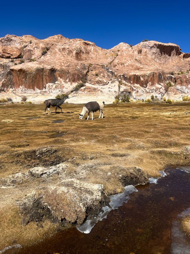 Salar de Uyuni