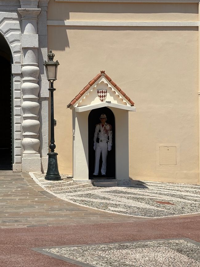Der zappelt ganz schön rum da 😅