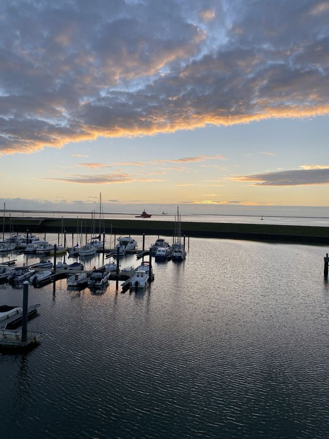 Esbjerg in Abenstimmung