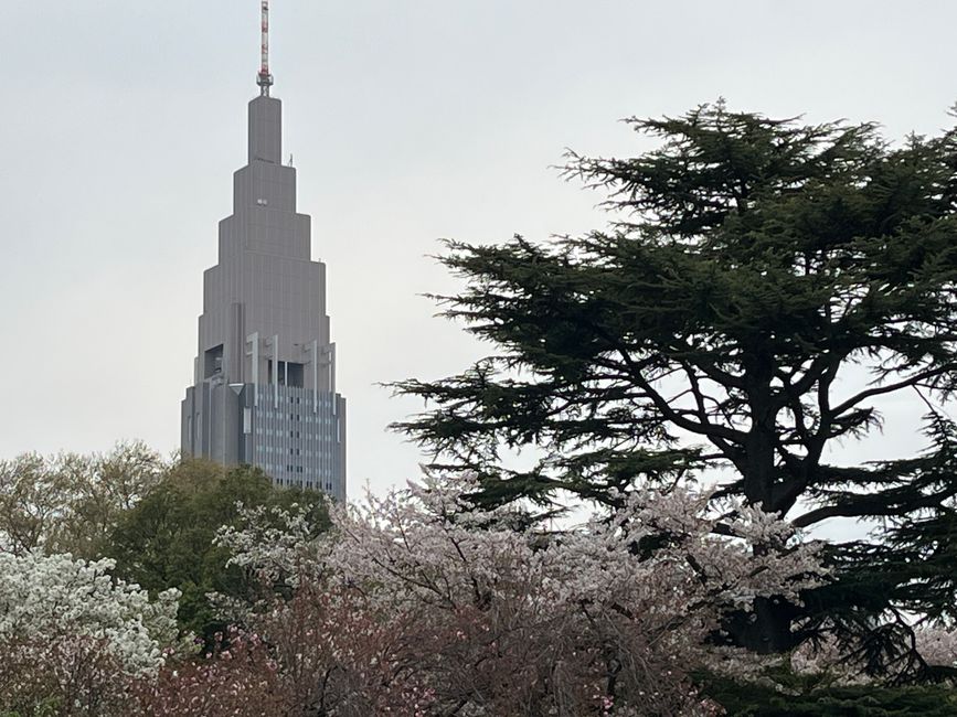 Shinjuku Gyoen Park