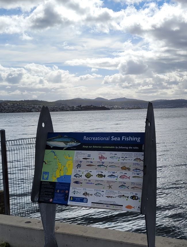 Tag 90 und 91 von 175: Kreuzfahrt rund um die Welt - Hobart/ Tasmanien/Australien und Seetag