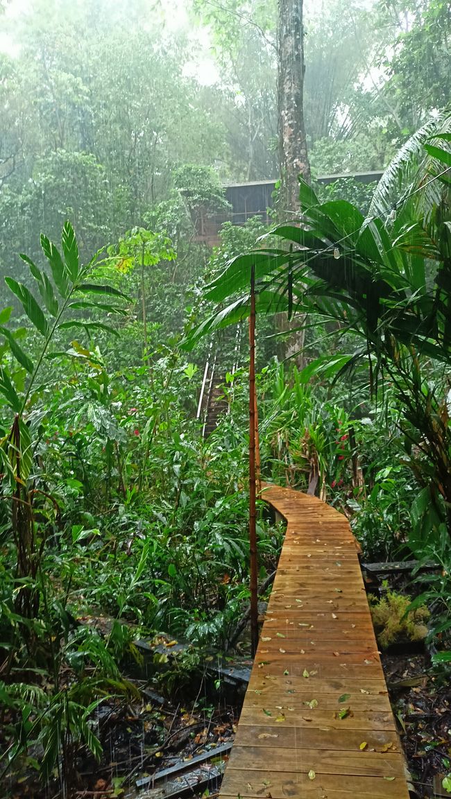 Bocas del Toro