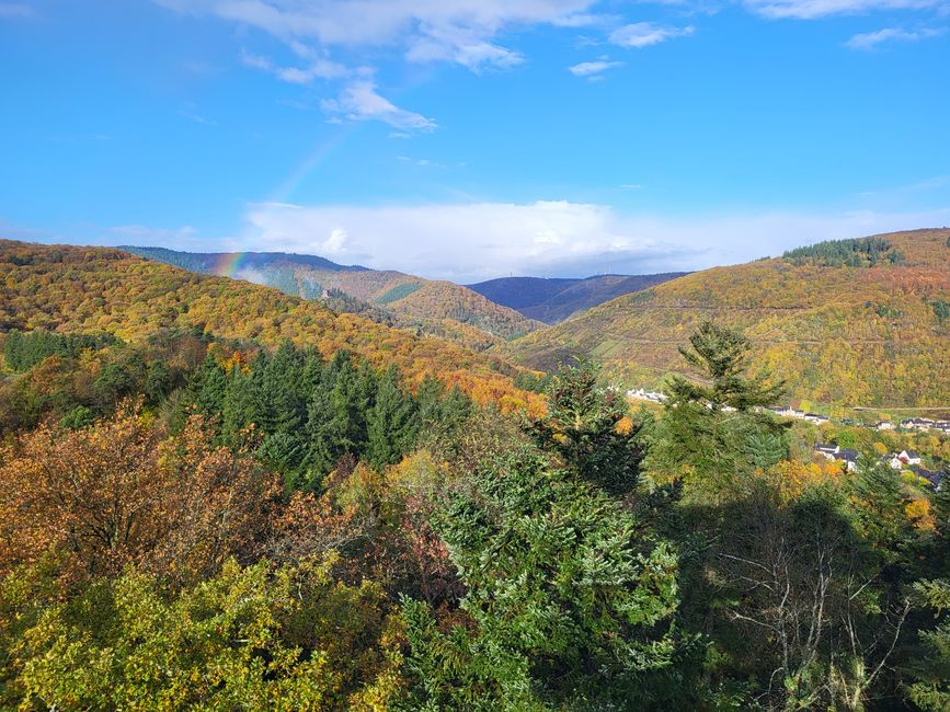Blick vom Aussichtsturm Prinzenkopf