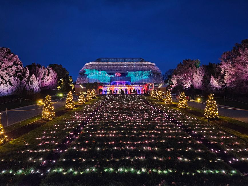 Christmas Garden