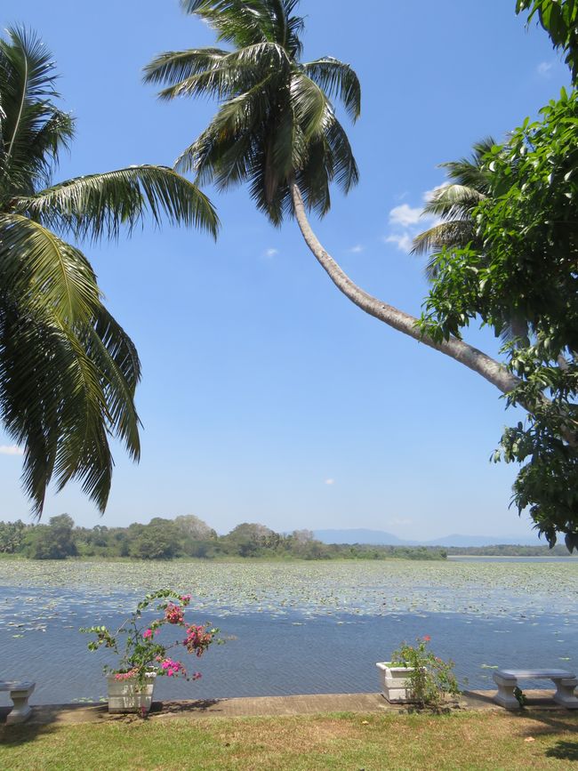 Tangalle - Folie de Plage