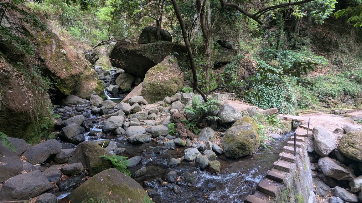Tag 8: Wandern entlang der Levada do Moinho & Levada Nova