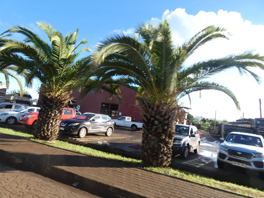 Isla de Pascua, día 1
