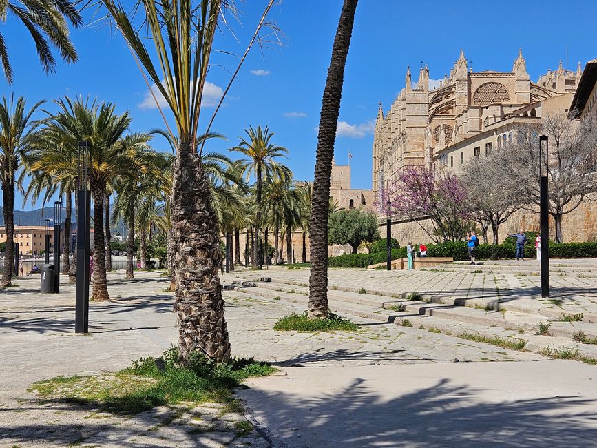 2025 - Aprile - Palma di Maiorca
