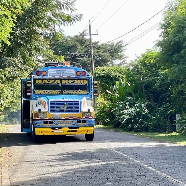 Hurra, der Bus kommt!