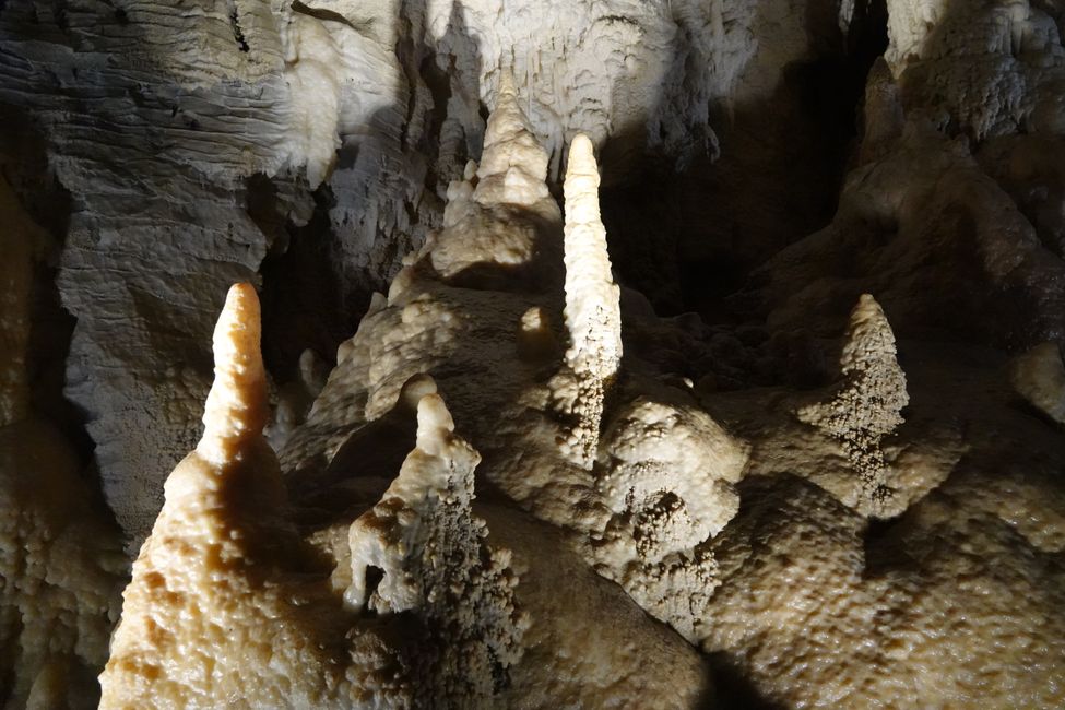 Grotte di Waitomo ....