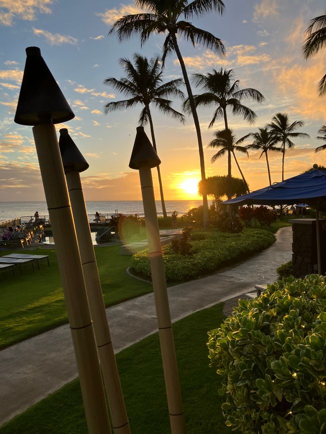 D18 - 7am Yoga with Norbi and Poipu beach with monk seals, sea turtles and Humuhumunukunukuapua‘a