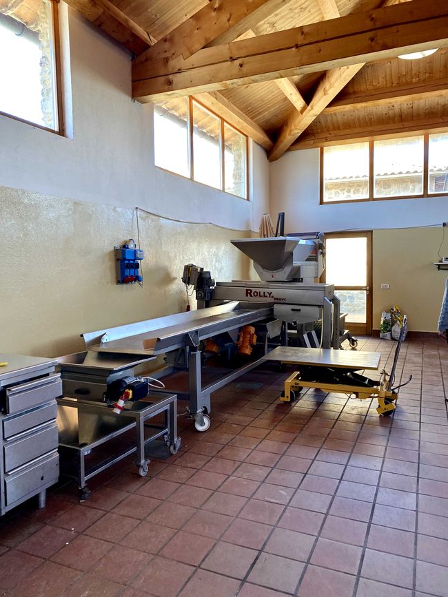 Tuscany Tour - Stop 3: Wine Tasting in Montalcino