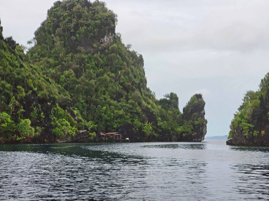 Misool, Nuova Guinea occidentale, Indonesia, escursione in Zodiac