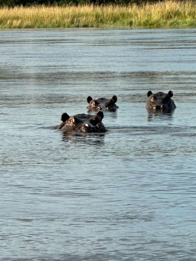 Unterwegs am Okavango 