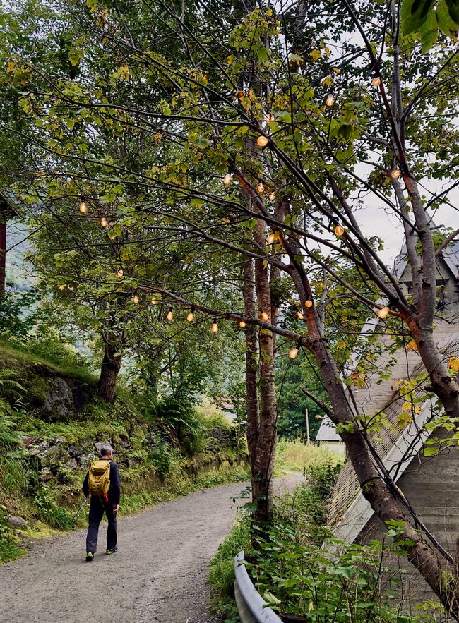 Today's Motto: Steps are meant to be climbed