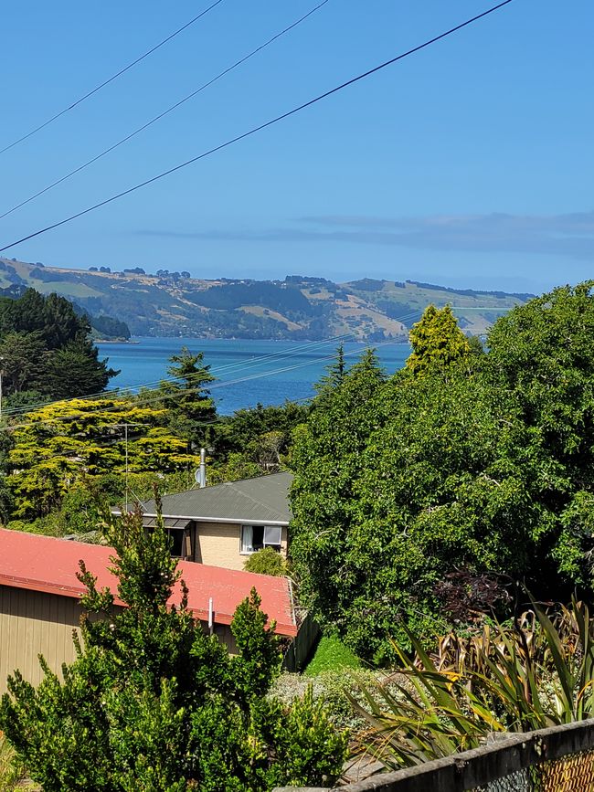 Jour 84 : Port Chalmers/Nouvelle-Zélande