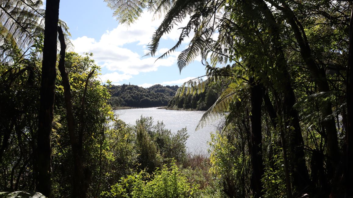 Rotokare Scenic Reserve