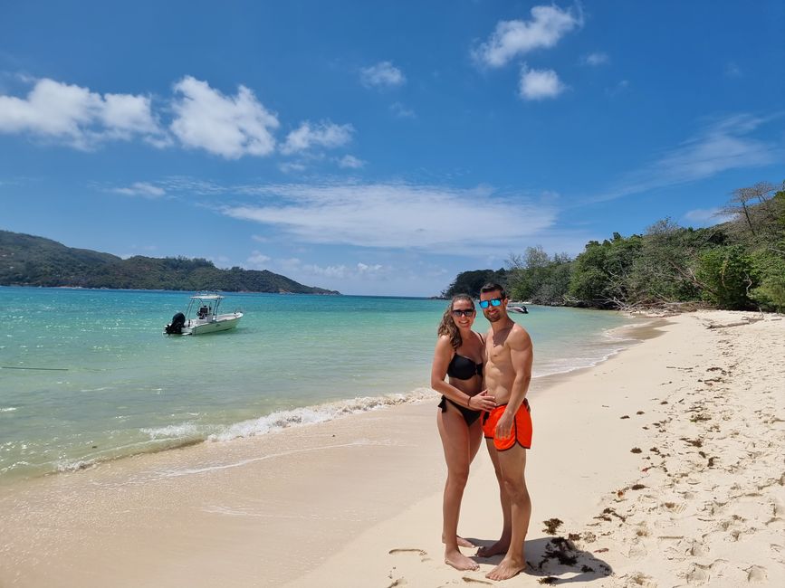 Seychelles - Giorno 13: Isola delle Tartarughe, ultimo snorkeling e viaggio di ritorno
