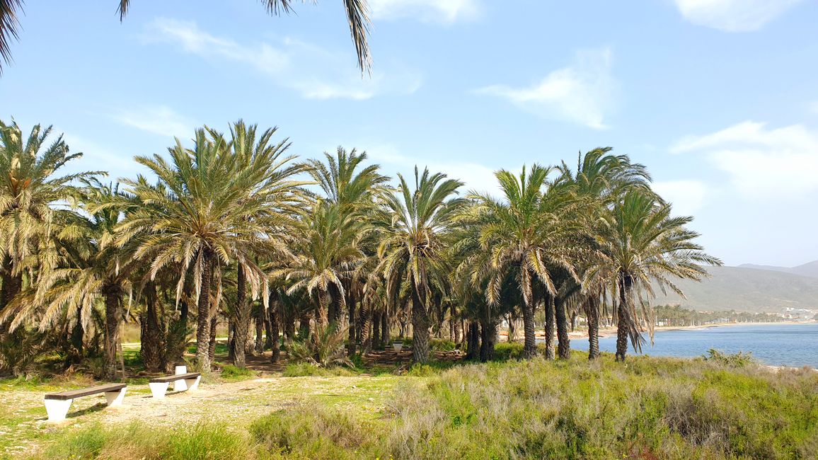 Alicante?...no grazie 609