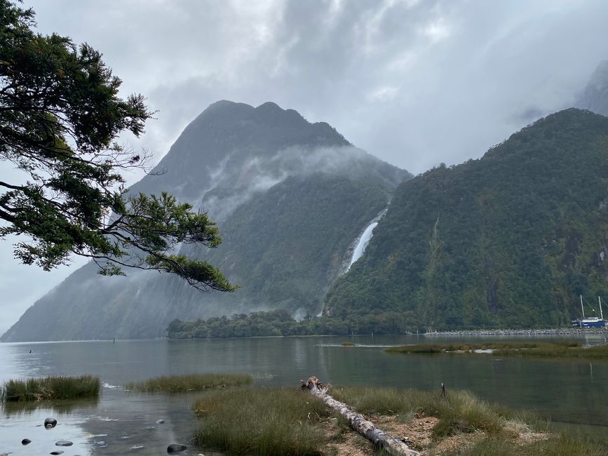 Road trip to Milford Sound