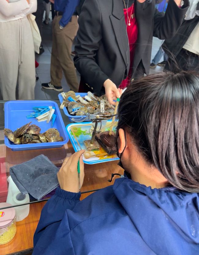 Tag 3 - Hanoi: Glitzereinhörner, Affen und die Kunst der Perlenzucht