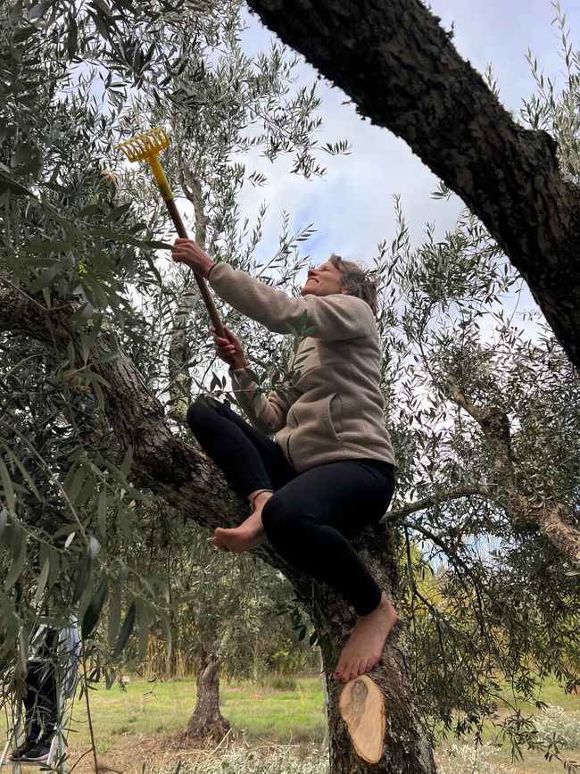 Point of no Return? 1 YEAR of travelling