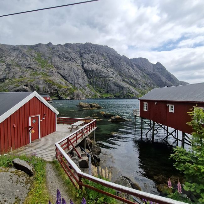 Vue d'Ørsvågvaer depuis le camping-car