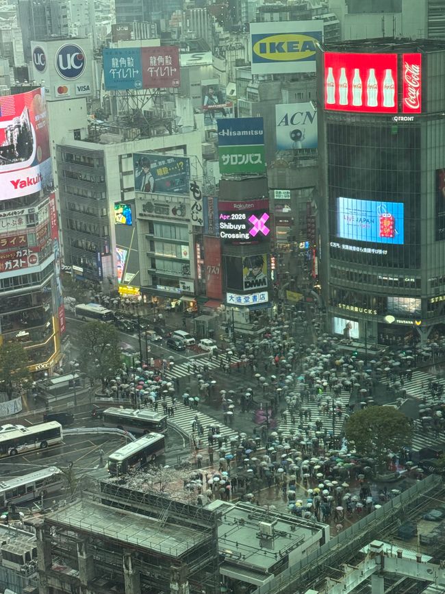 Parte 7
BENVENUTO IN GIAPPONE 🇯🇵
TOKYO