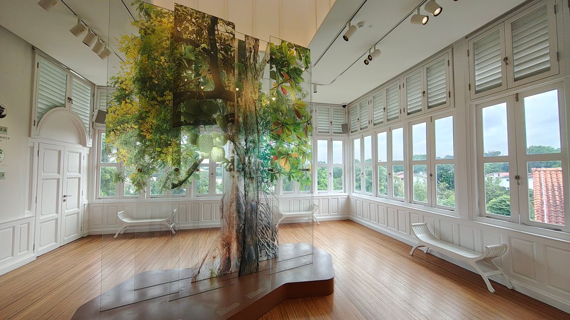 Forest Discovery Centre im SBG