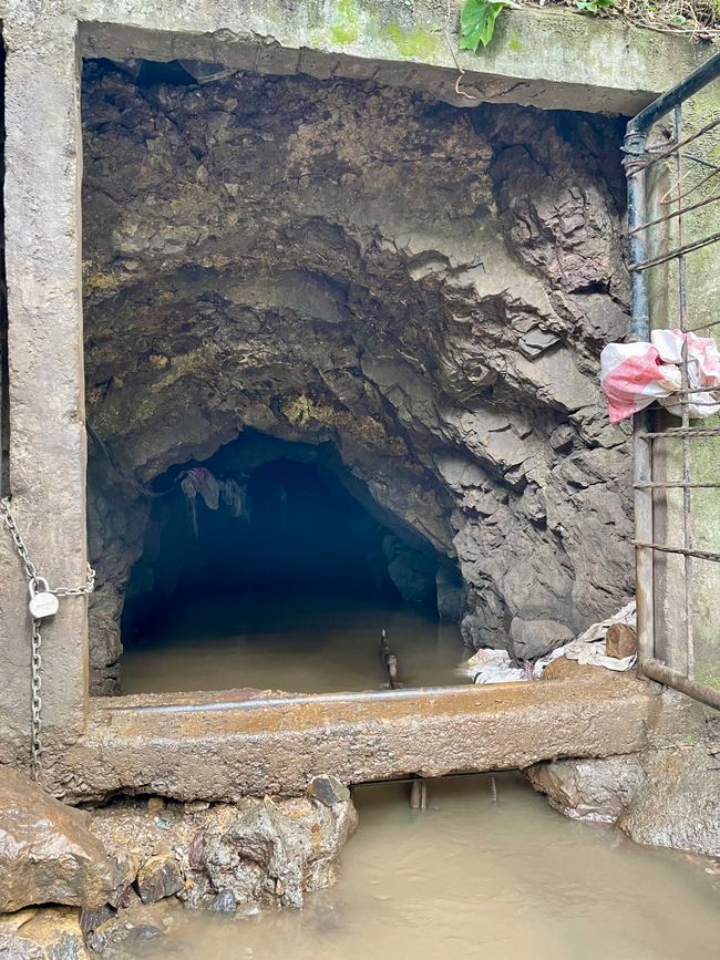 la « mine d'or »