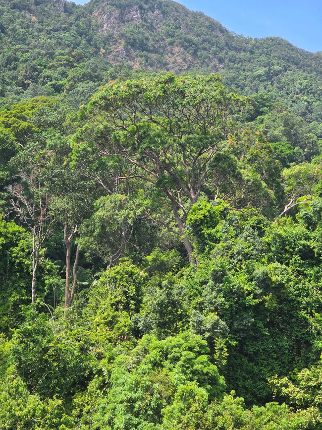 Langkawi - Reif für die Insel!