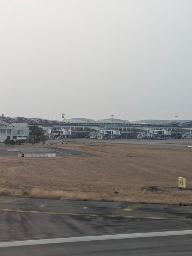 zurück in Raipur