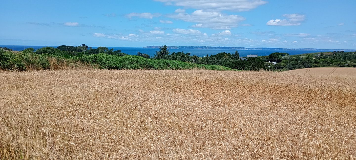Bucht von Douarnenez 