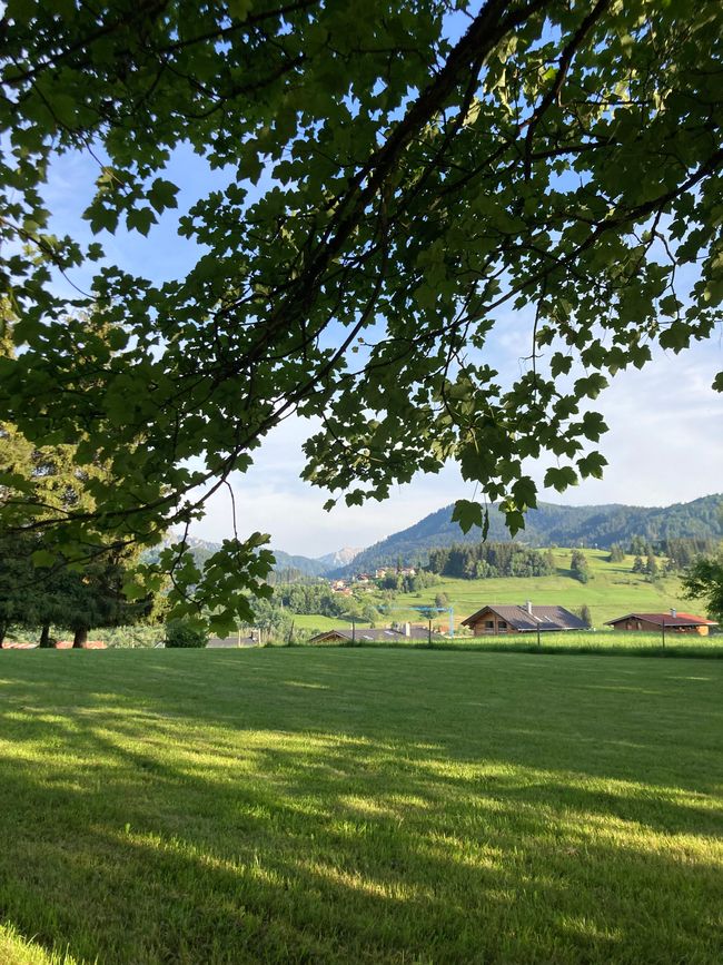 Heidi…es gibt sie noch, nur jetzt auf der Alpe Reuterwanne
