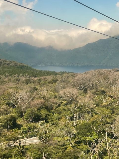 Hakone Super delizioso