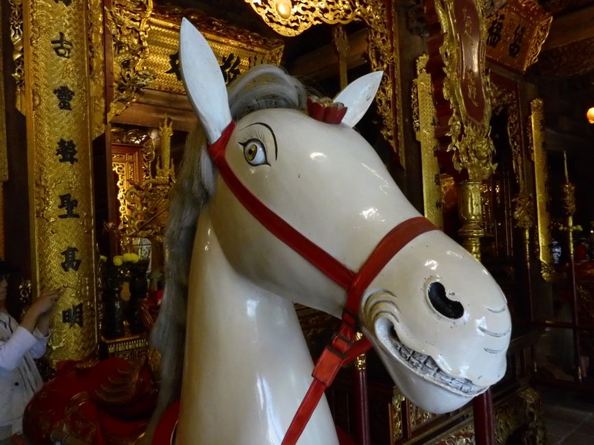 La licorne n'a pas de vrai corne