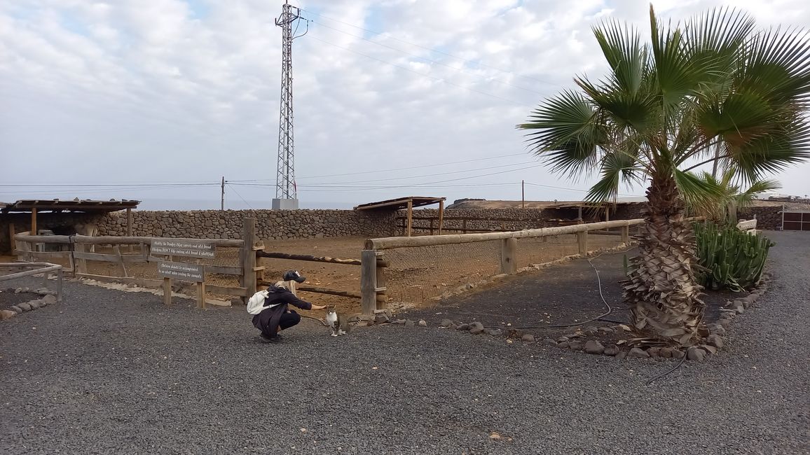 Isla Vulkan Lanzarote - esta vez no estoy solo