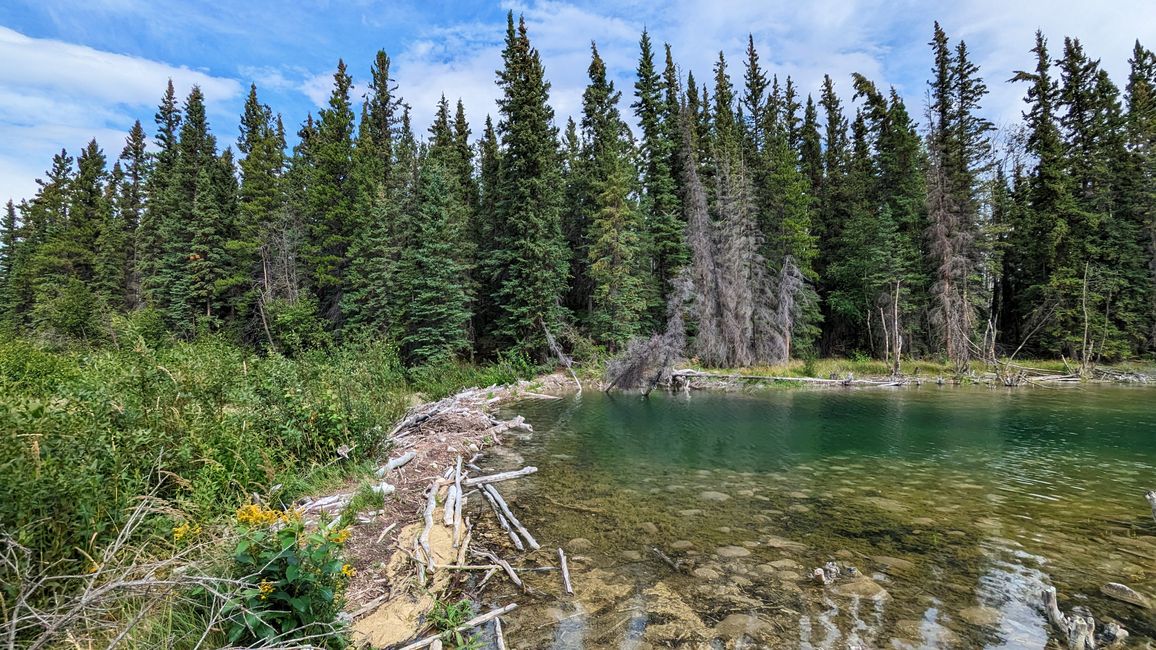 Crystal clear water with a school of fish on the right