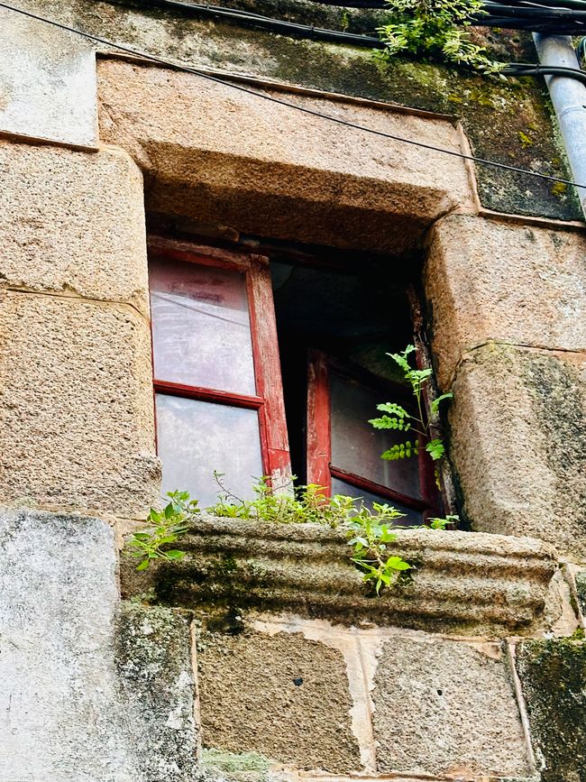 Uns geht’s gut, Danke! 
Küstenstrasse von Sant Feliu de Guíxols bis Tossa de Mar