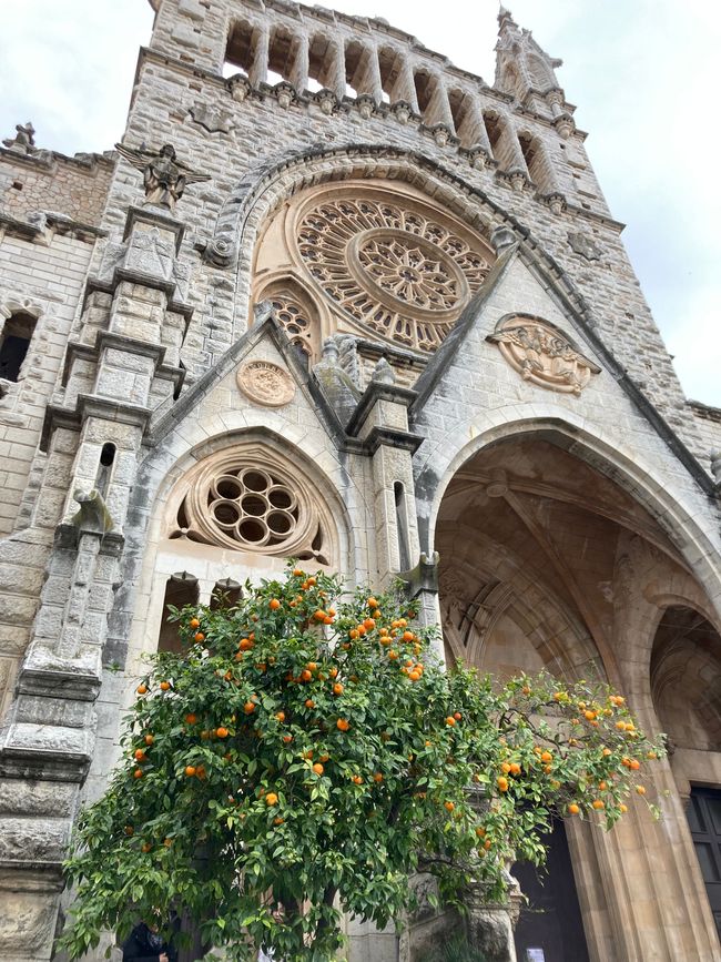 In Soller …finde ich den Mann für‘s Leben