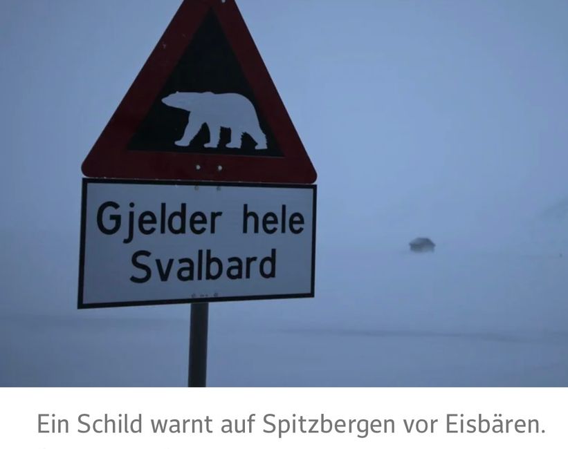 Neuer Beitrag