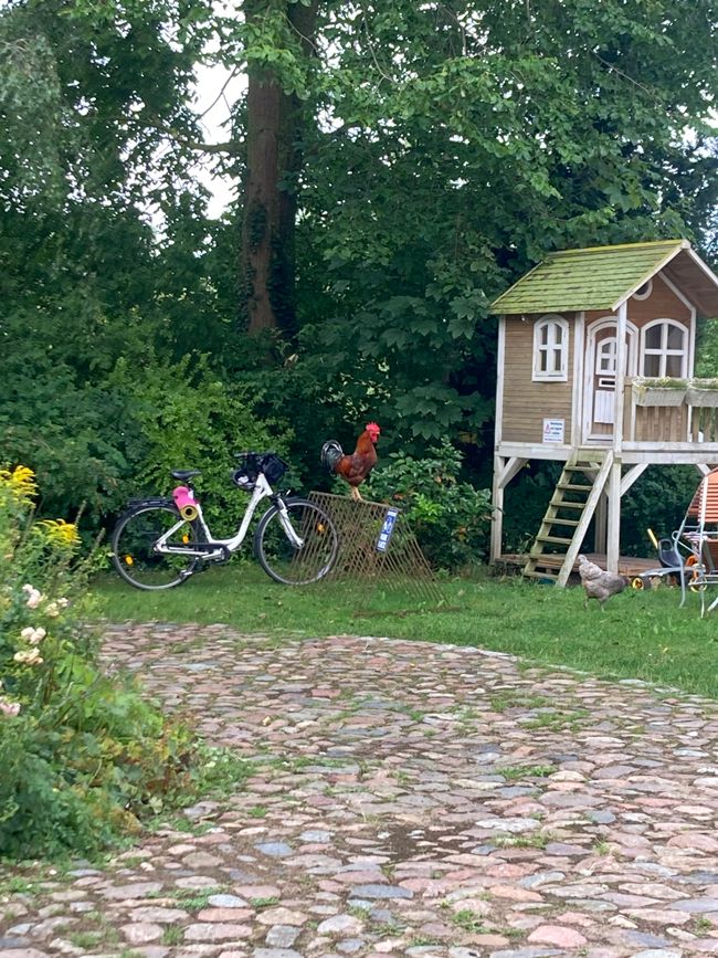 Übernachtung mit einem Fremden
im Pasterhof - Eichhorst-