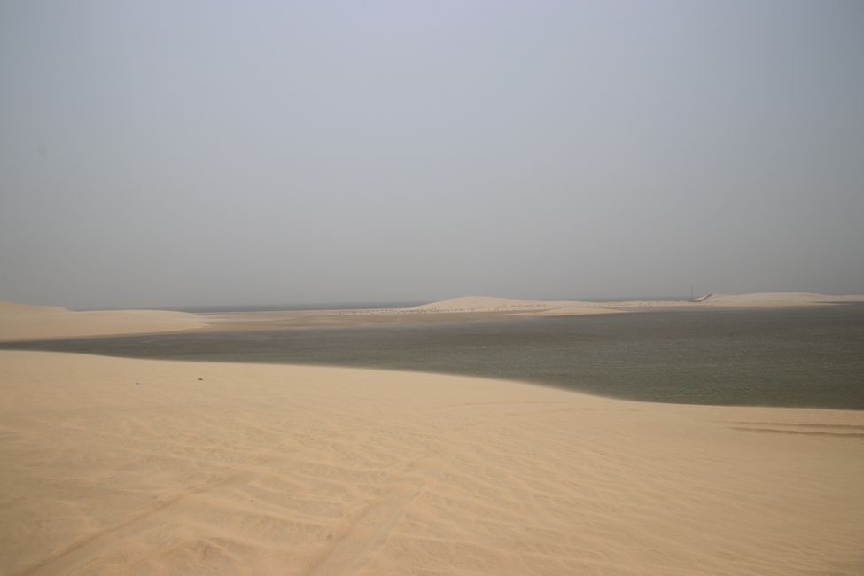 Etiqueta 23: En camino en Doha y el desierto