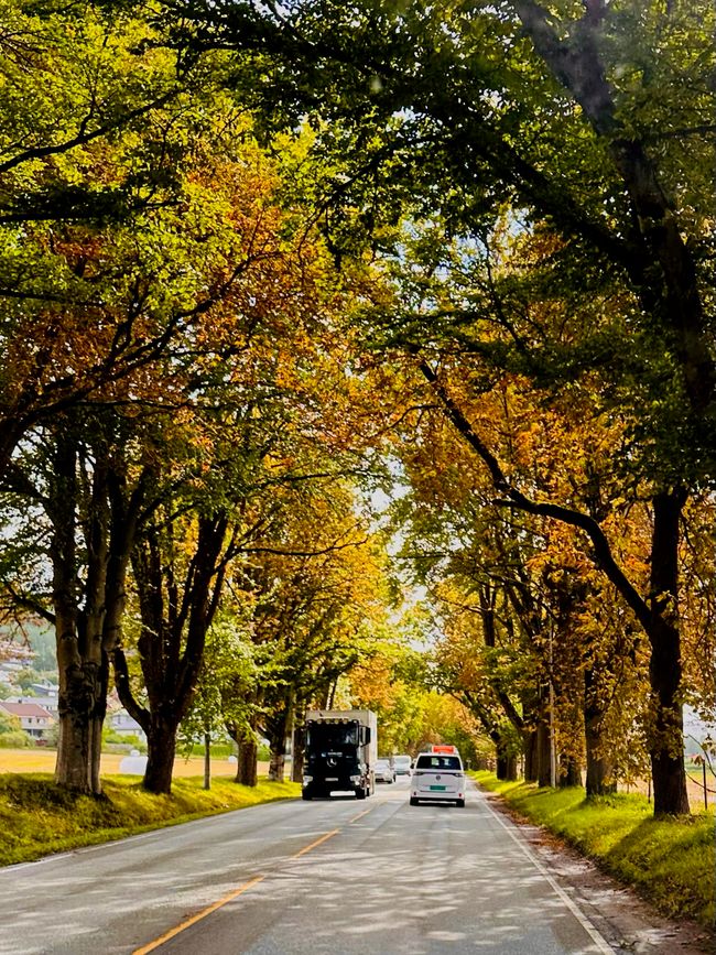 Die letzten Tage - Austbygda und Larvik